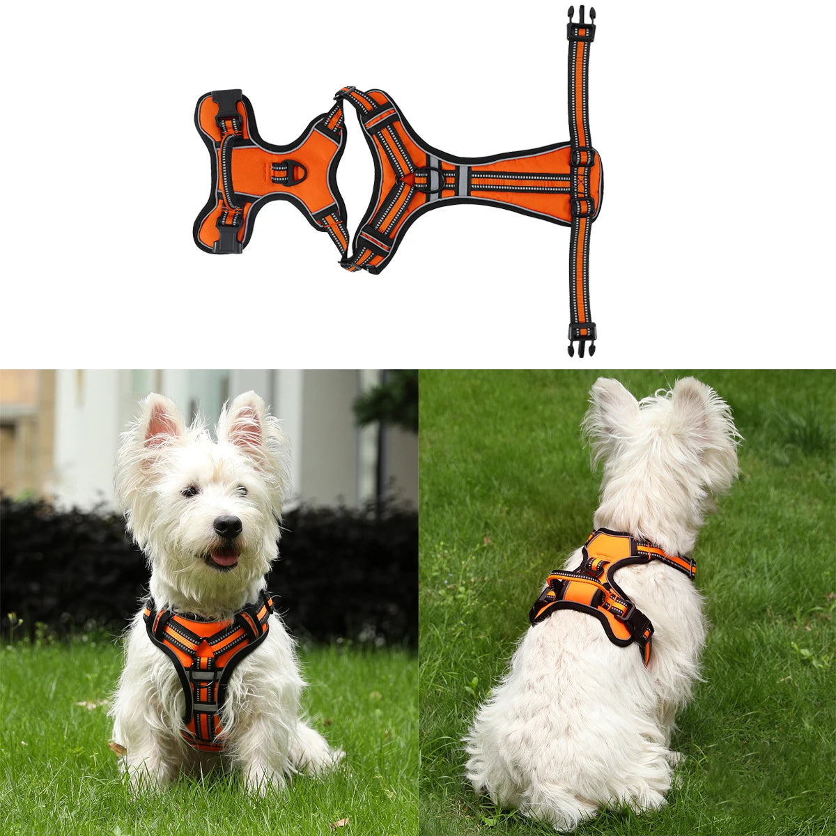 PAPEACE™Dog Harness