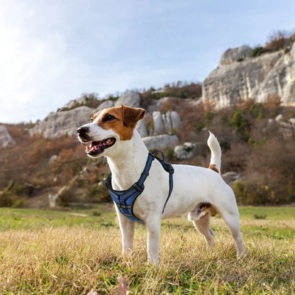 PAPEACE™Dog Harness