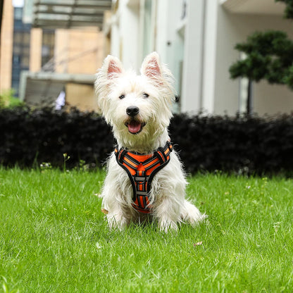 PAPEACE™Dog Harness