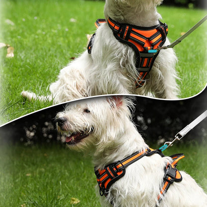 PAPEACE™Dog Harness