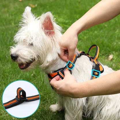 PAPEACE™Dog Harness