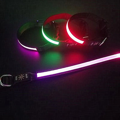 PAPEACE™LED Glowing Dog Collar