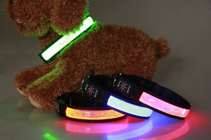 PAPEACE™LED Glowing Dog Collar