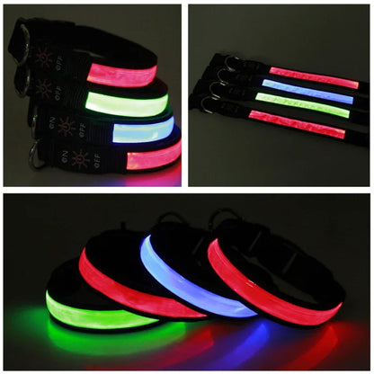 PAPEACE™LED Glowing Dog Collar