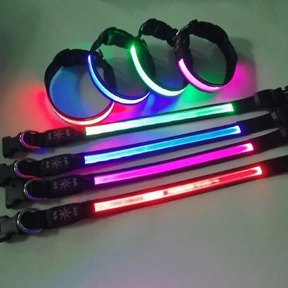 PAPEACE™LED Glowing Dog Collar