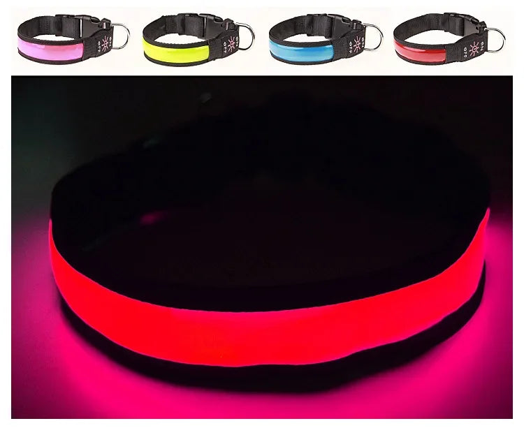 PAPEACE™LED Glowing Dog Collar