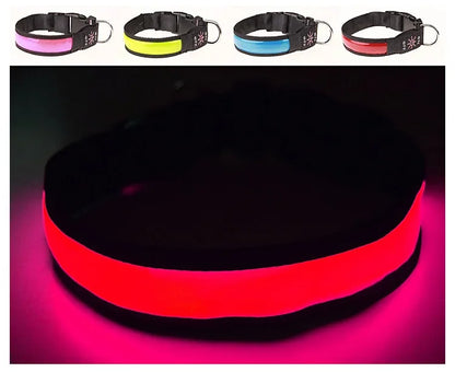 PAPEACE™LED Glowing Dog Collar