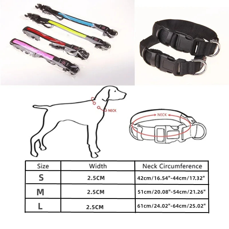 PAPEACE™LED Glowing Dog Collar