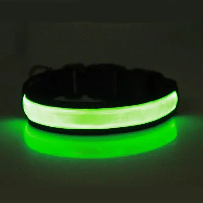 PAPEACE™LED Glowing Dog Collar