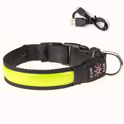 PAPEACE™LED Glowing Dog Collar